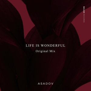 Обложка: Asadov - Life Is Wonderful