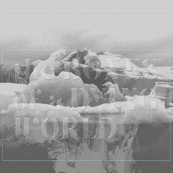 Обложка: If These Trees Could Talk - Iron Glacier