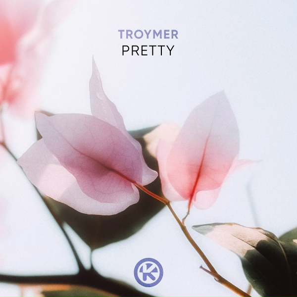 Обложка: TROYMER - Pretty