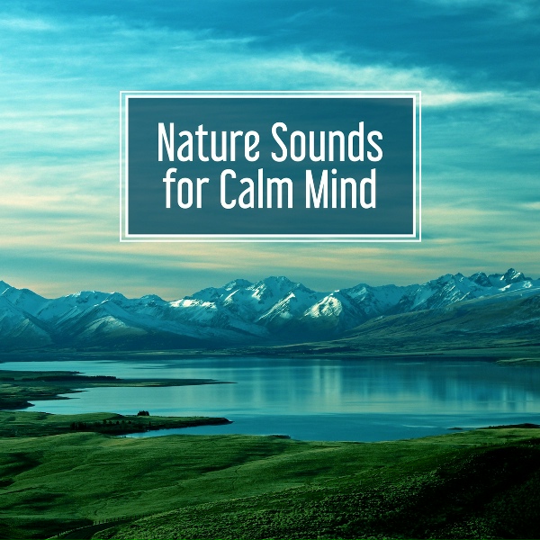 Обложка: Stress Relief Calm Oasis - Harmony