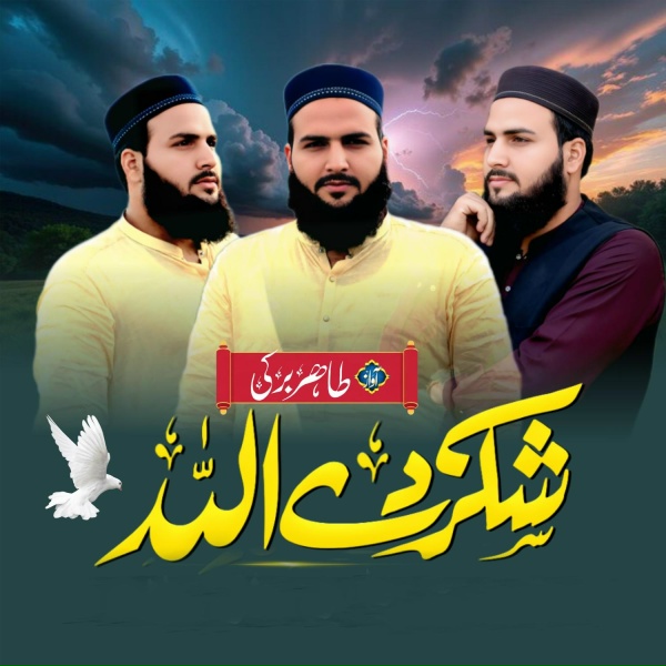 Обложка: Tahir Burki - Shukar De Allah