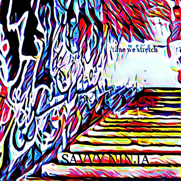 Фото: Savvy Ninja