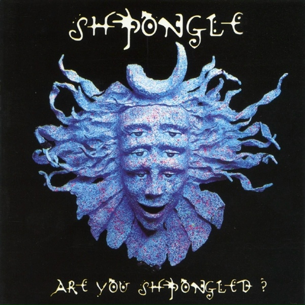 Обложка: Shpongle - Shpongle Spores