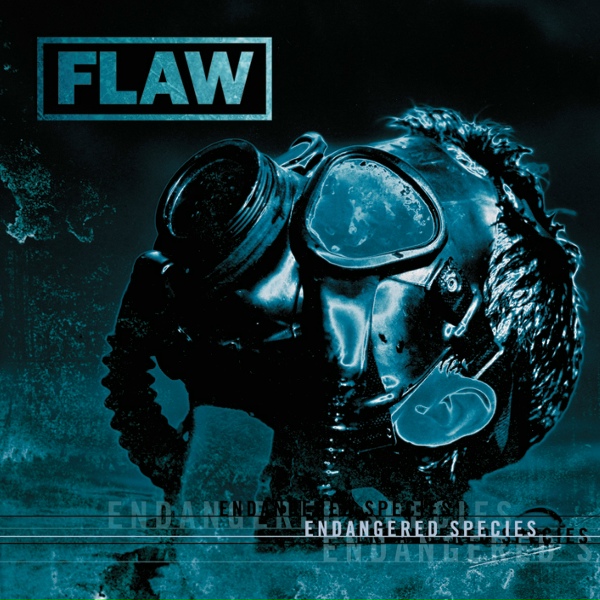 Обложка: Flaw - Decide