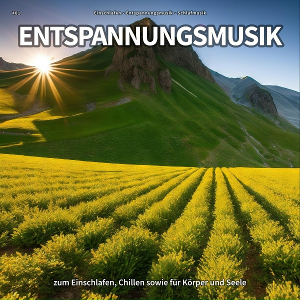 Обложка: Einschlafen, Entspannungsmusik, Schlafmusik - Stressbewältigung