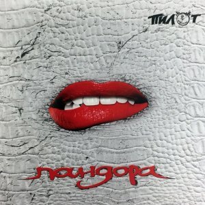 Обложка: Пилот - Сайга