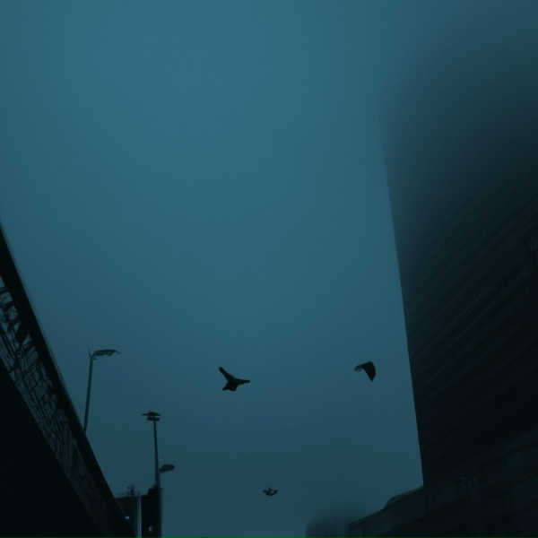 Обложка: hélix - angel