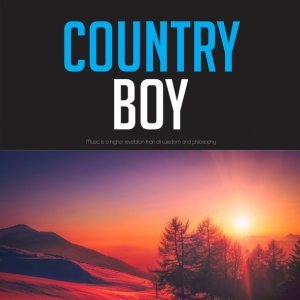 Обложка: Ernest Tubb, Red Foley - Hillbilly Fever