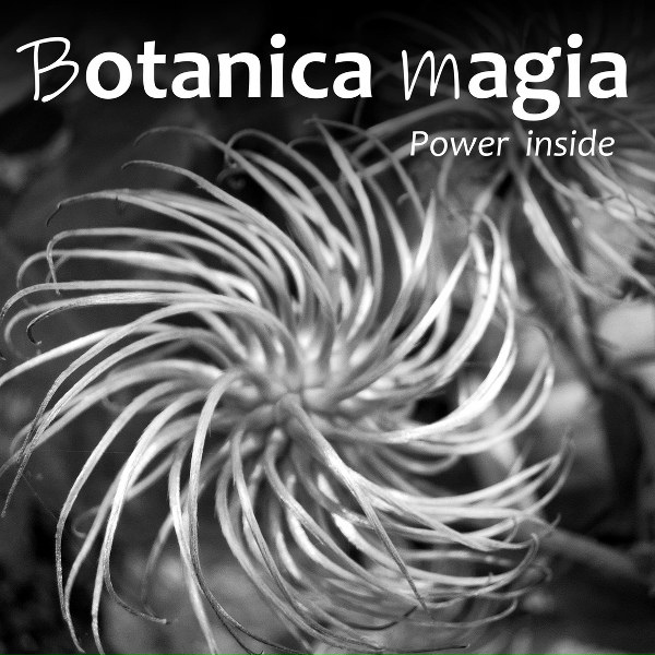 Обложка: Botanica magia - Color of meditation