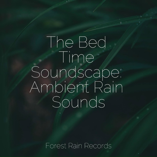 Обложка: Alpha Brain Waves, Lullaby Babies, Amazing Spa Music - Rain Dripping from the Roof