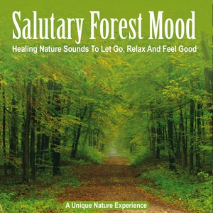Обложка: Kings of Nature - Evening Mood in the Floodplain, Pt. 1