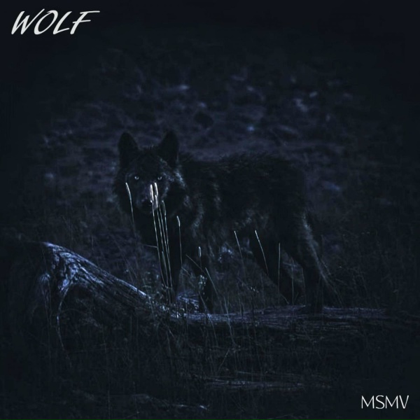 Обложка: MSMV - Wolf