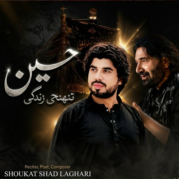 Обложка: Shoukat Shad Laghari - Hussain Tunhgi Zindgi