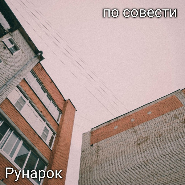 Обложка: Рунарок - Я из будущего
