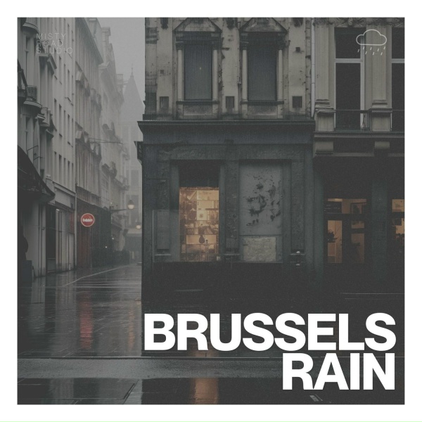 Обложка: Prince of Rain - Rain Falls on Los Angeles