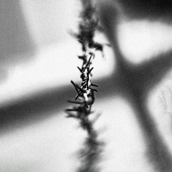 Обложка: METAHESH - Unfocused