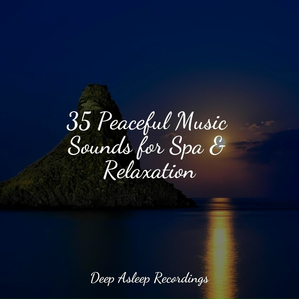 Обложка: Sleep Waves, Ambient Music Therapy, Relaxation Sleep Meditation - Relaxing Waves