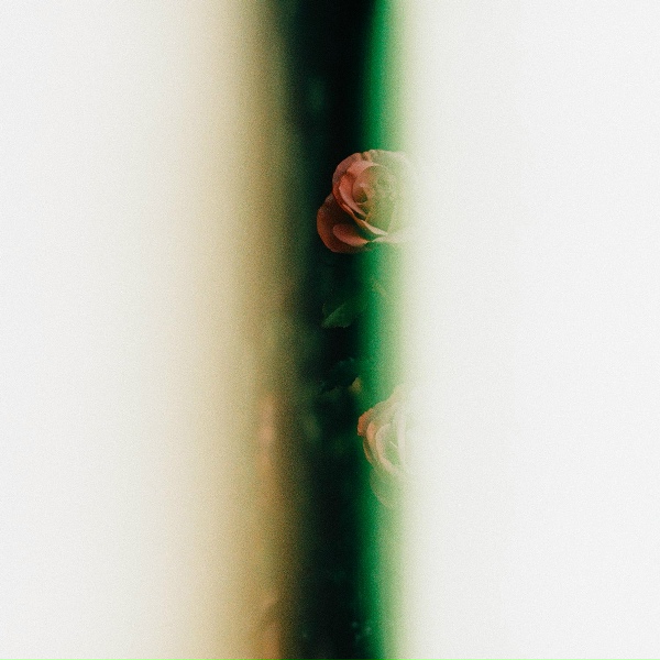 Обложка: Molly Parden, Tony Anderson - Secret Garden