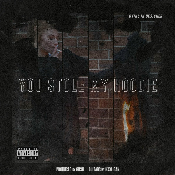 Обложка: dying in designer - You Stole My Hoodie