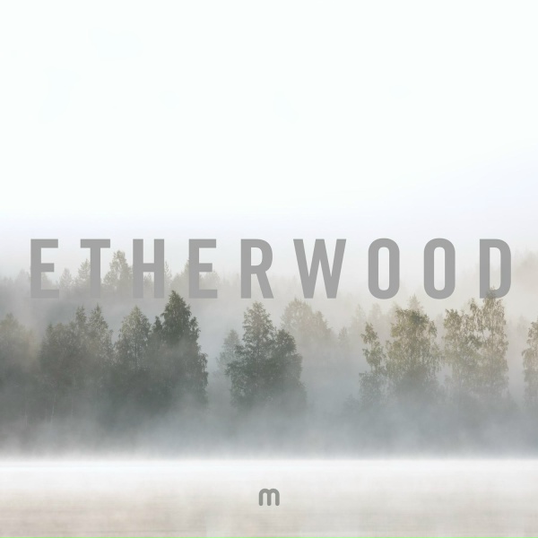 Обложка: Etherwood feat. Anile - Bear's Breeches