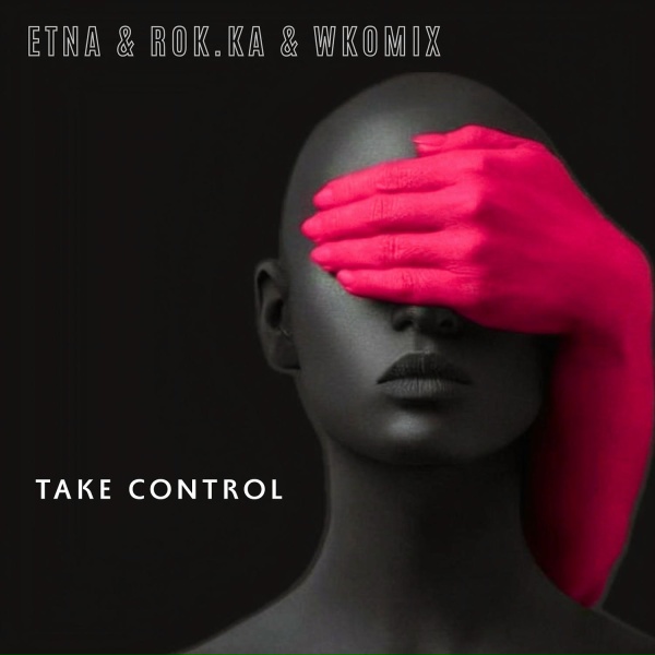 Обложка: ETNA, Rok.ka, WKOMIX - Take Control