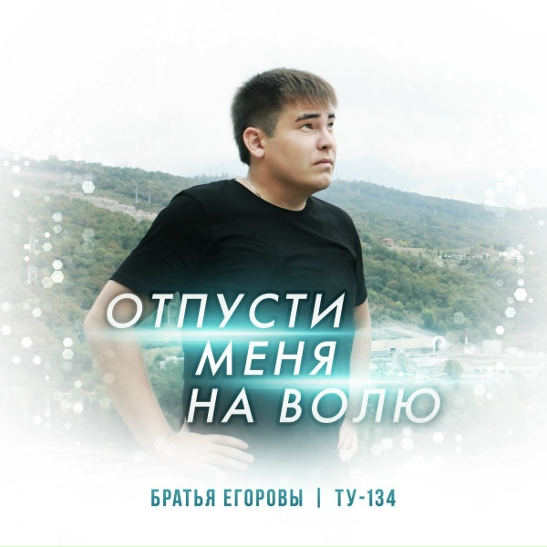 Обложка: Братья Егоровы, ТУ-134 - Отпусти меня на волю