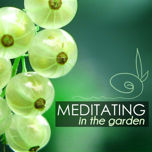 Обложка: Zen Music Garden - The Essence of Meditation