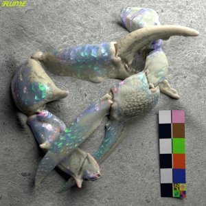 Обложка: Flume feat. London Grammar - Let You Know