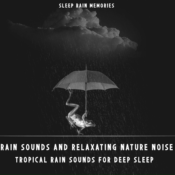 Обложка: Sleep Rain Memories - Night Rain Continuum
