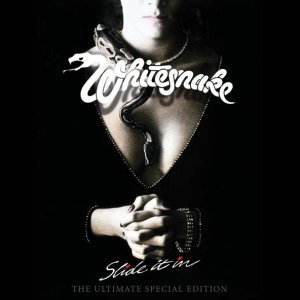 Обложка: Whitesnake - Standing in the Shadow