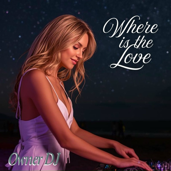 Обложка: Owner DJ - The Radio