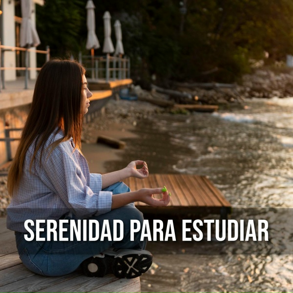 Обложка: Estimulacion Mental - Ondas Alfa para Tranquilidad