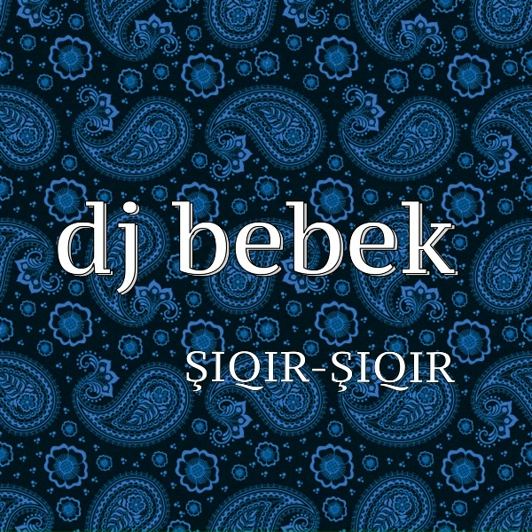 Обложка: DJ bebek - Party from Bebek