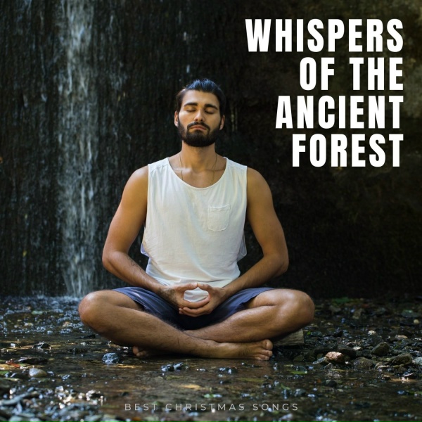 Обложка: Meditation Masters, Guided Meditation, Oasis of Meditation - Temple of Stillness