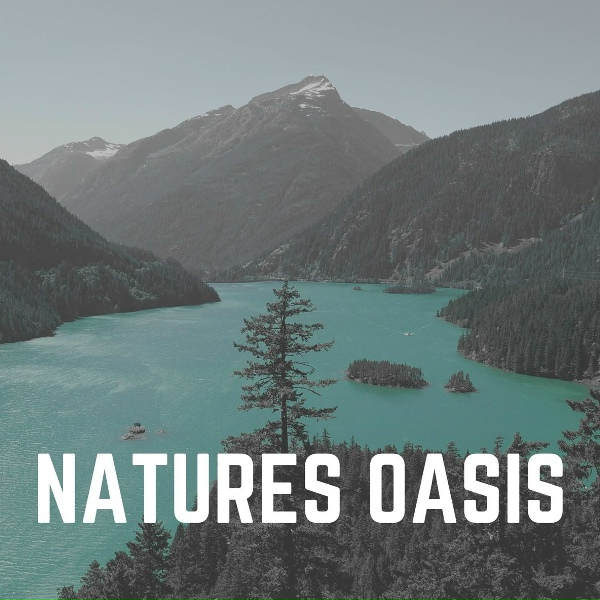 Обложка: The Water Sleepers - Freshwater