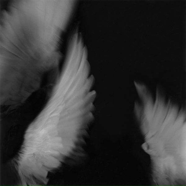 Обложка: hozuki, SOULIFY - death is tired of waiting