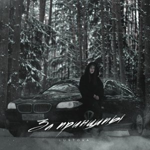 Обложка: Lustova - За принципы