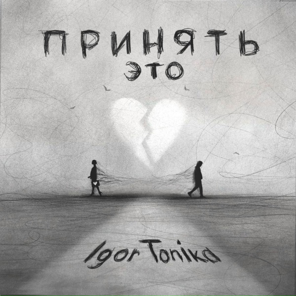 Обложка: Igor Tonika - Принять это