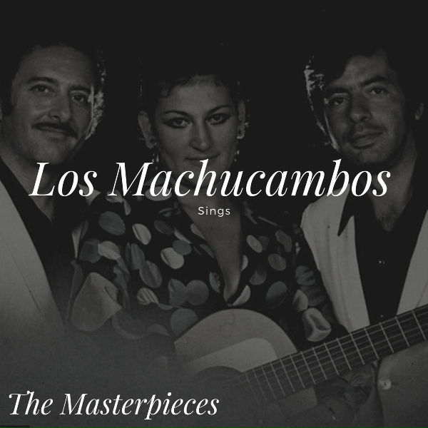 Обложка: Los Machucambos - El Profesor