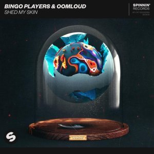 Обложка: Bingo Players, Oomloud - Shed My Skin