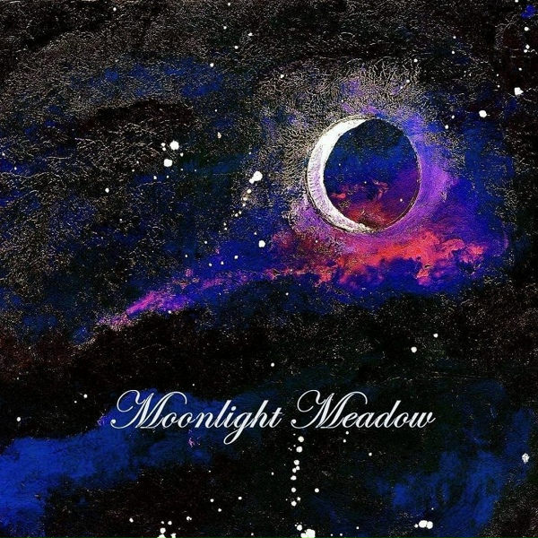 Обложка: Moonlight Meadow - Dance