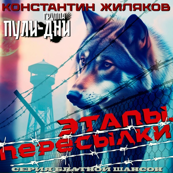 Обложка: Константин Жиляков, Группа Пули-Дни - Этапы, пересылки
