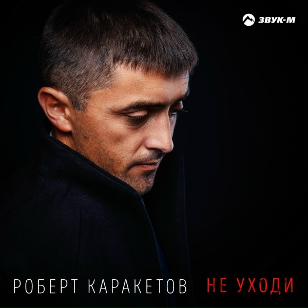 Обложка: Роберт Каракетов - Не уходи