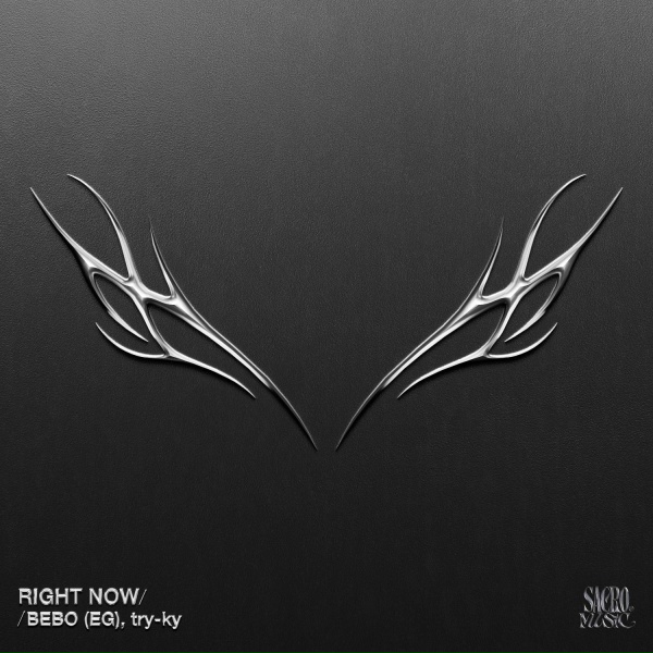 Обложка: Bebo (EG), Try-ky - Right Now