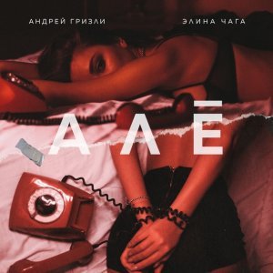 Обложка: Андрей Гризли, Элина Чага - АЛЁ