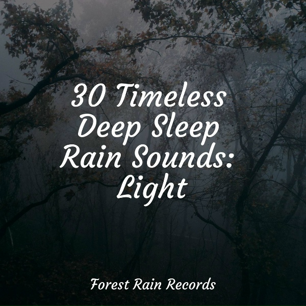 Обложка: Sleep Meditation Dream Catcher, Música Zen Relaxante, Rain - Calming Ocean