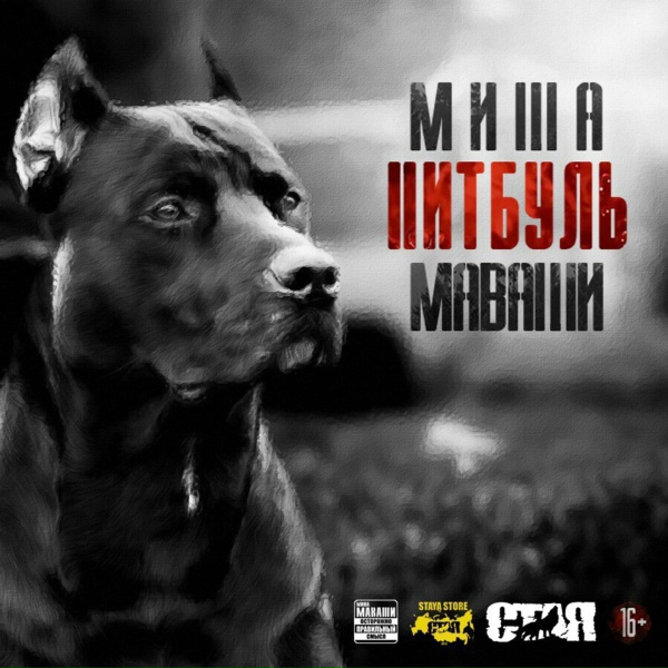 Обложка: Миша Маваши - Война против войны