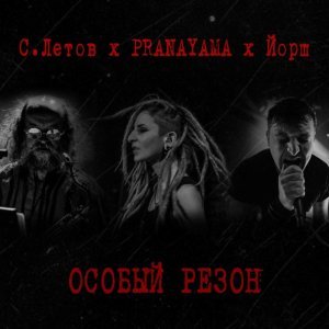Обложка: PRANAYAMA, Йорш, Сергей Летов - Особый резон