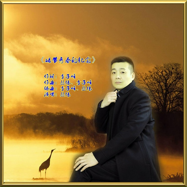 Обложка: 丛伟 - 磁带青春的纪念