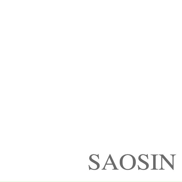 Обложка: Saosin - Translating the Name